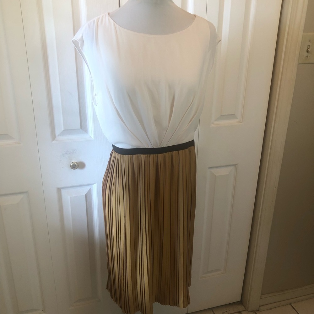 Max & Cleo White Blouse Top with Black Waist and Gold Pleated Midi Skirt
